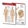 Body Point Map (Digital Edition)