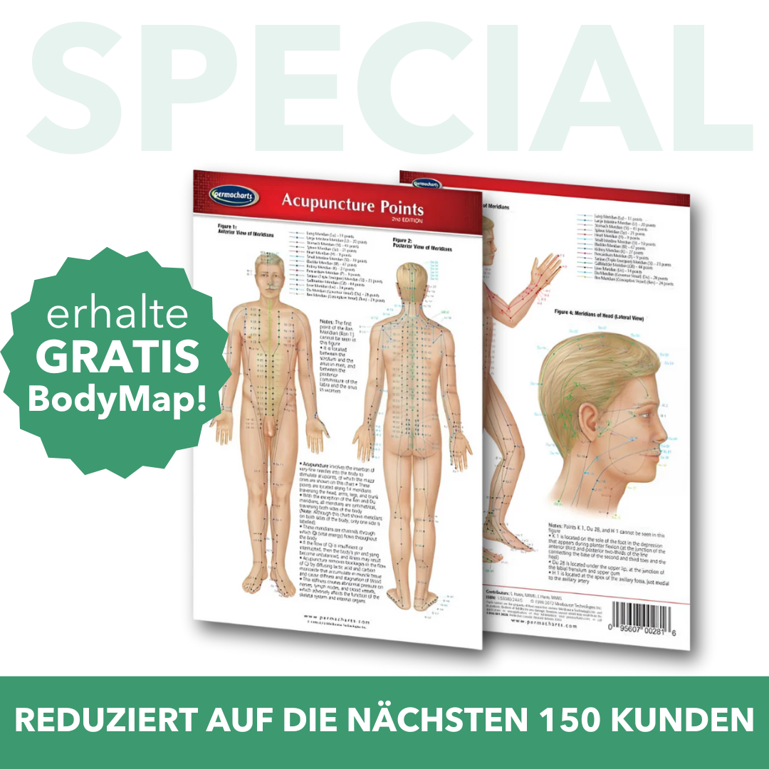 HealFrequency™ - 128 Hz Klangtherapie-Instrument